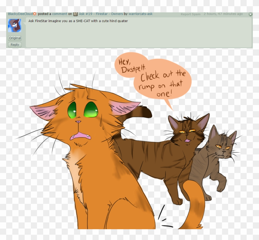 Ask - Warrior Cats Ask Firestar #356162