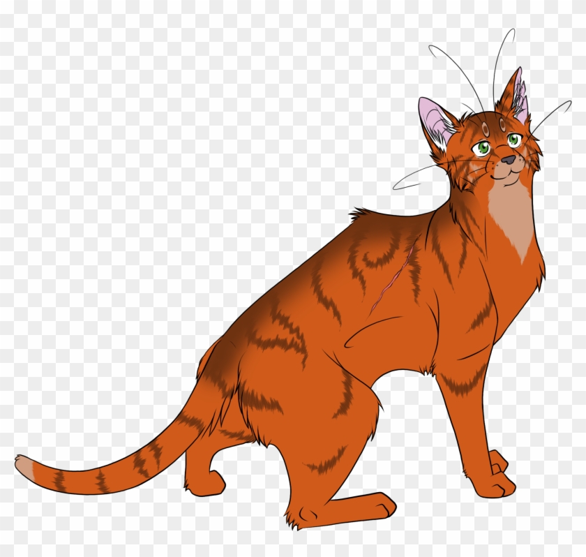 Warrior Cats - Firestar #356170