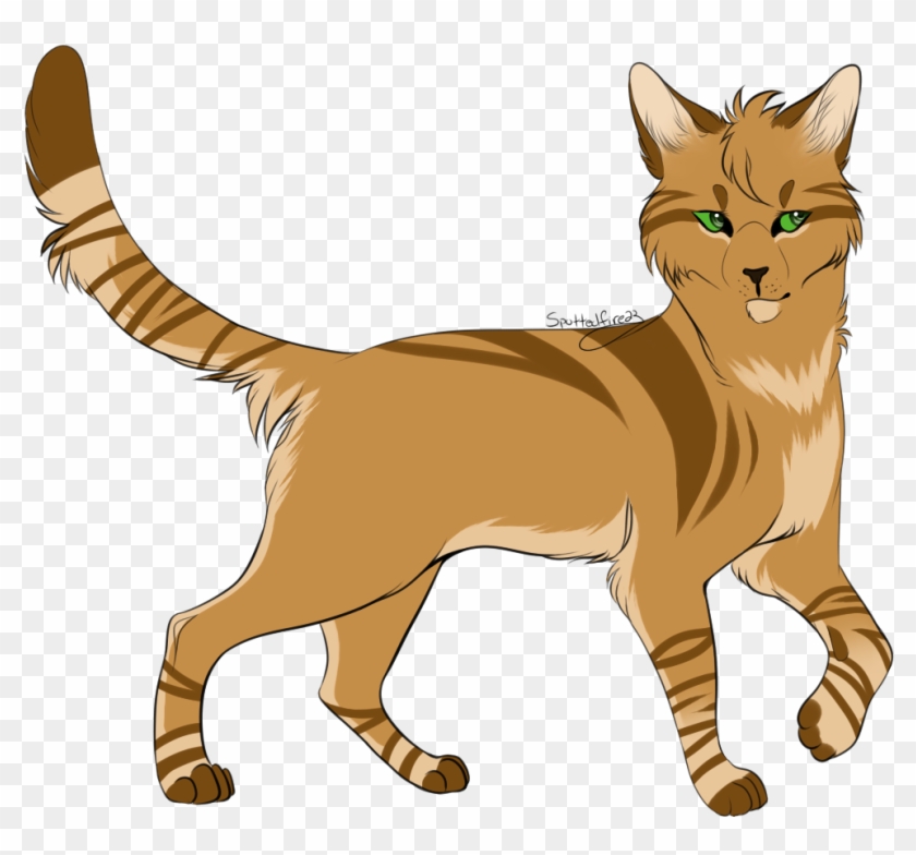 Sparkpaw By Spottedfire23 Sparkpaw By Spottedfire23 - Spottedfire23 Warrior Cats #356181