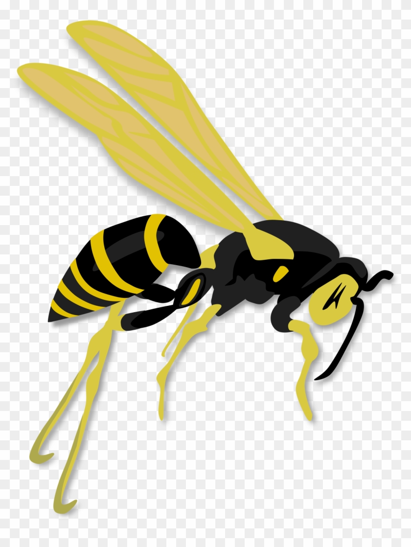 Onlinelabels Clip Art - Wasp Clipart #356261