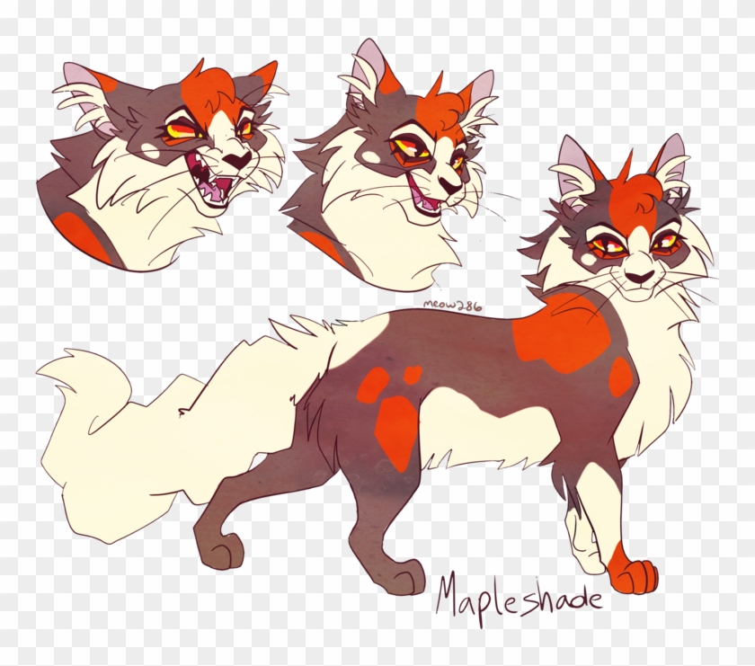 Mapleshade By Meow286 - Meow 286 Warrior Cats #356364