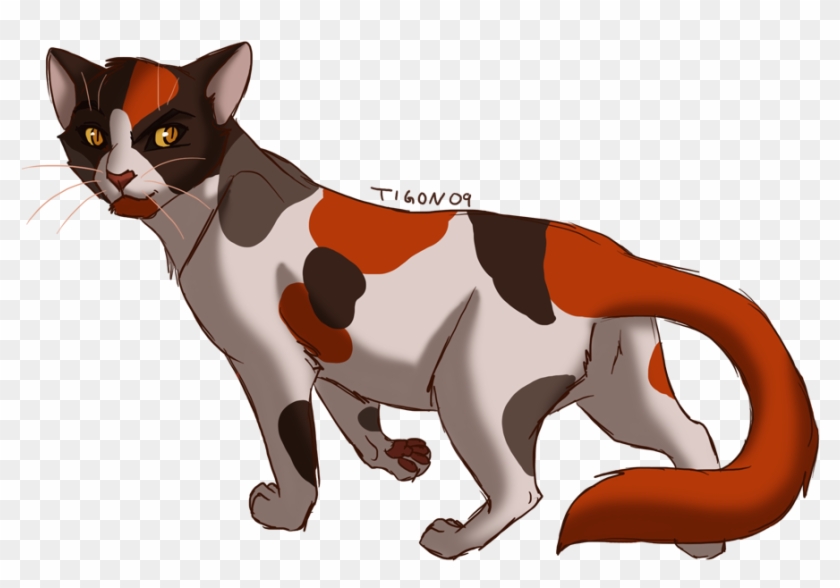 Redtail By Tigon On Deviantart Rh Tigon Deviantart - Colors For Cat Pelts #356399