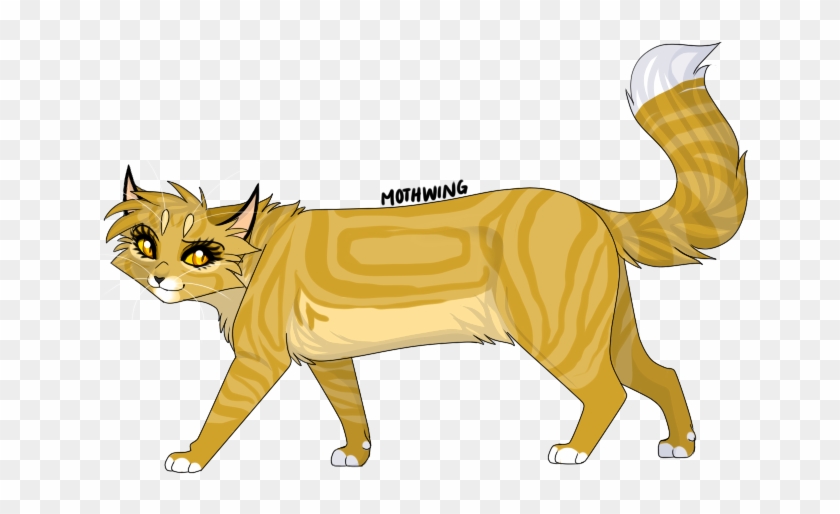 Related Image - Transparent Mothwing Warrior Cat #356411