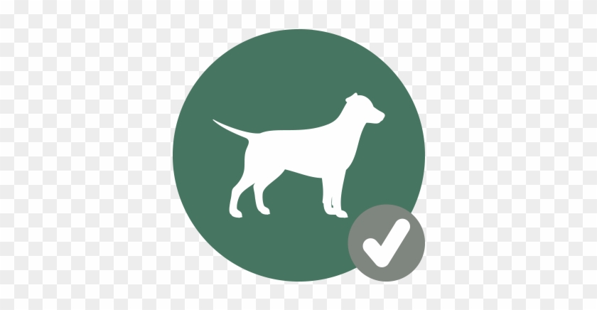 Free Pet Registration - Guard Dog #356540