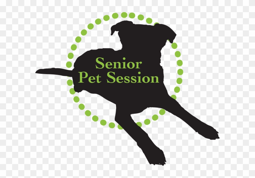 Gift Certificate For A Senior Pet Session - Monogram #356543