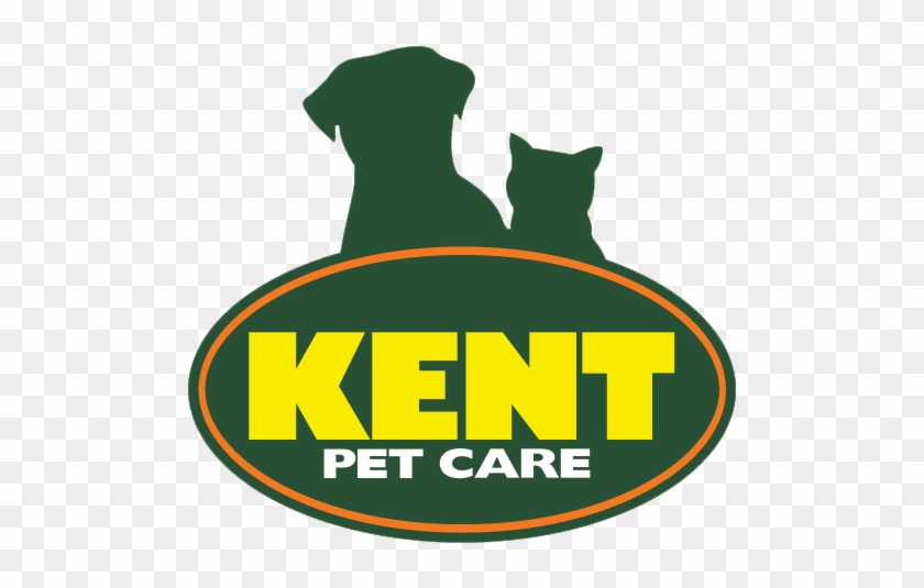 Kent Pet Care - Kent 2 In 1 Car Cleaning Microfibre Noodle Wash Pads #356559