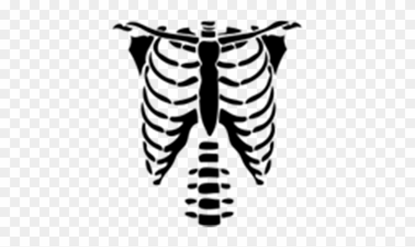 Beautiful Rib Cage Cartoon Skeleton Torso Halloween Png T Shirts For Roblox Free Transparent Png Clipart Images Download - roblox t shirt drive