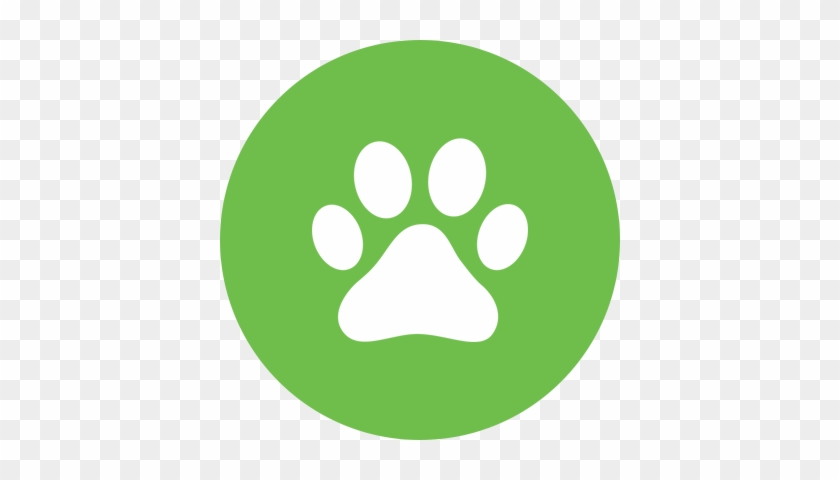 Pet Turf - Bitcoin Cash Icon Png #356646