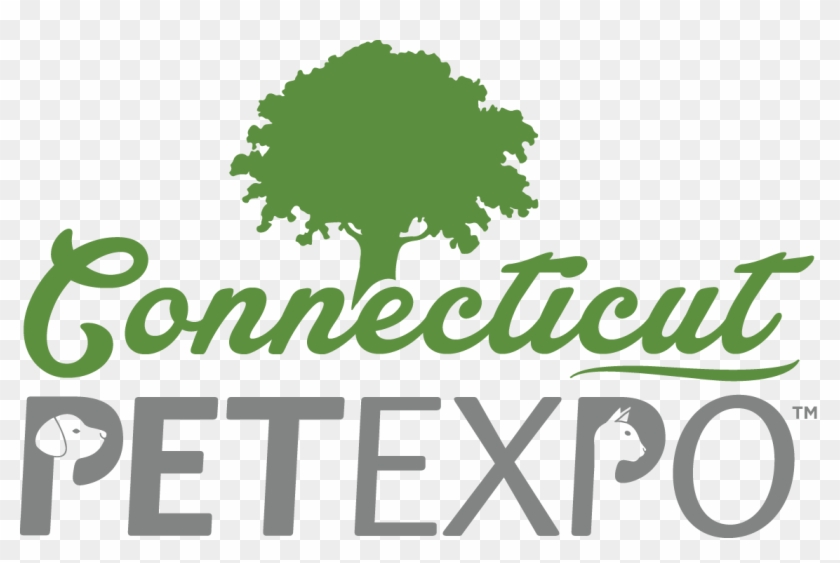 New England Pet Expo - Collection: The Realm Of Why, Poetic Ratatouille, Needing #356676