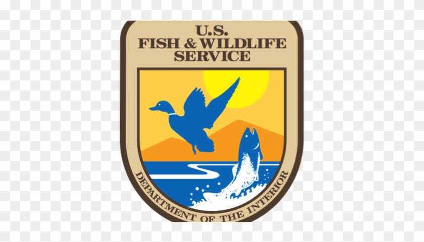 This - Us Fish And Wildlife Service #356938