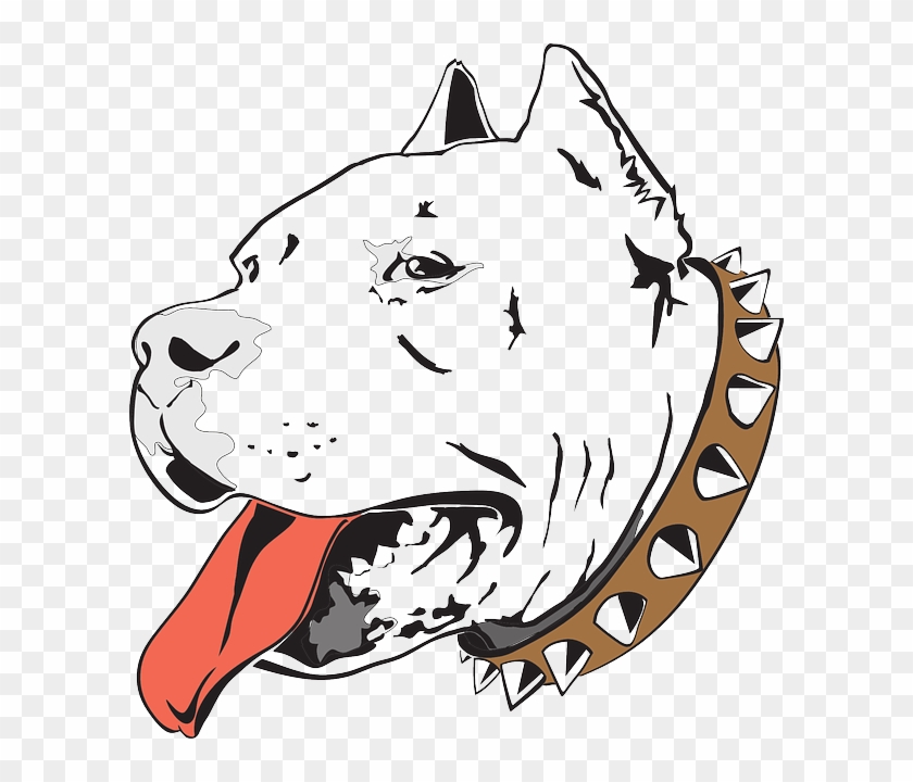 Head, Dog, Bull, Pet, Household, Animal, Pit, Canine - Anjing Pitbull Logo #357180