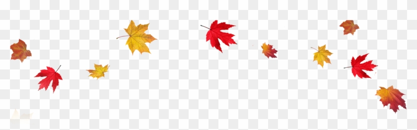 Falling Down Clipart On Transparent Background - Fall Leaves Transparent #357260