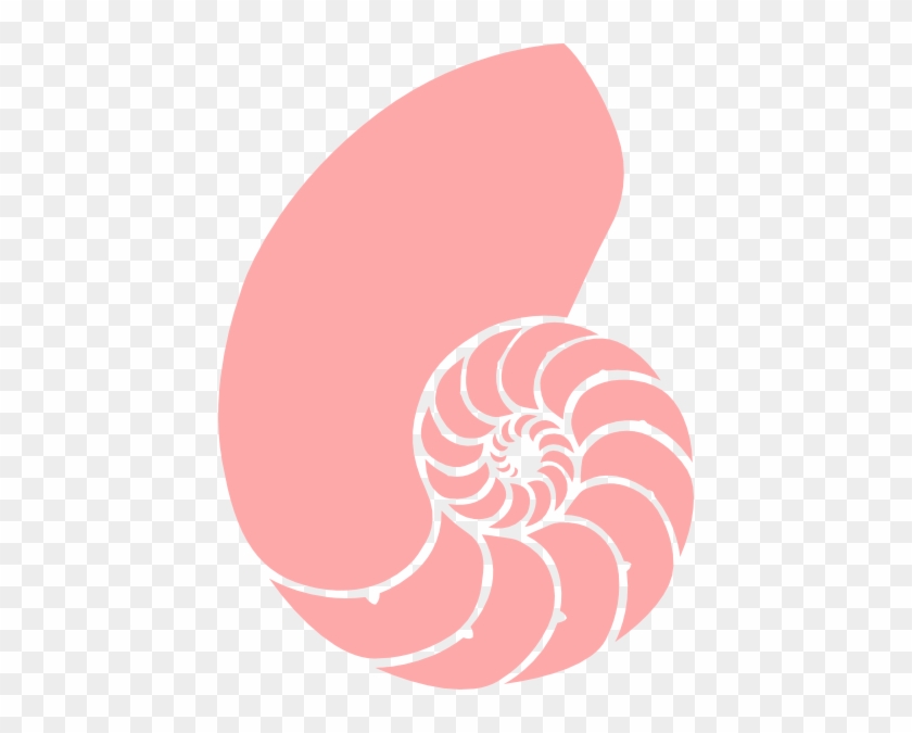 Nautilus Shell Clip Art #357283