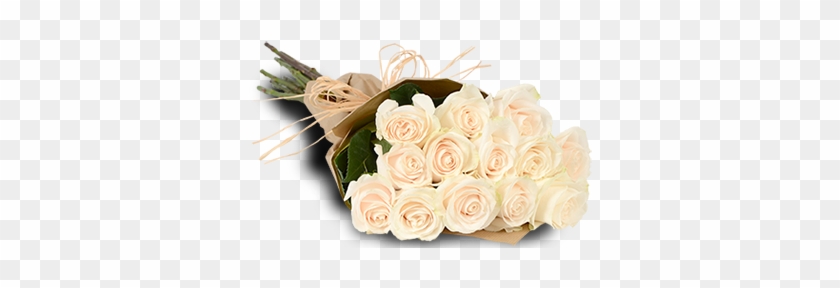 White Roses - 1 Dozen White Roses Bouquet #357305