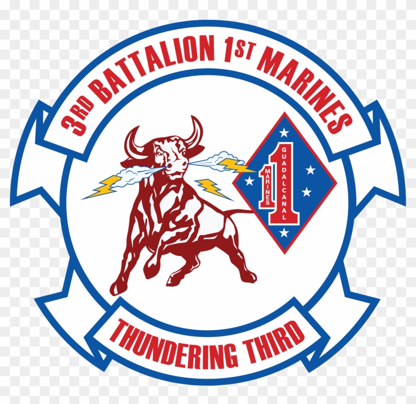 3rd Battalion 1st Marine Regiment Of United States - 3rd Bn 1st Marines #357438