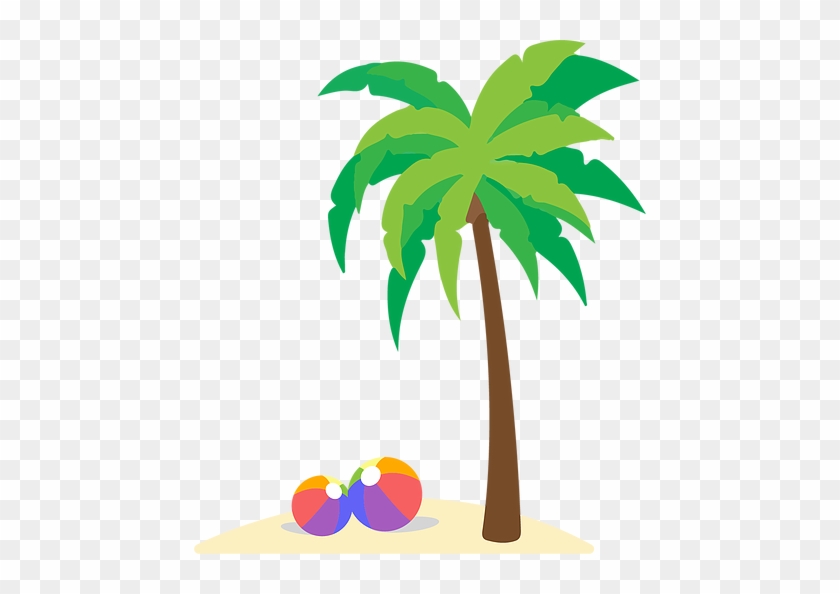 Schedule & Fees - Vector Graphics #358059