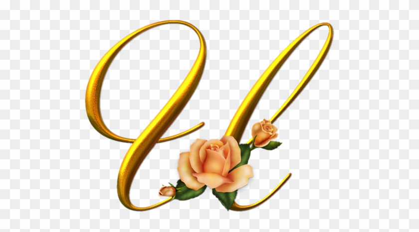 Clip Art, Letters, Yellow, Decorated Letters, Roses, - Letter #358237