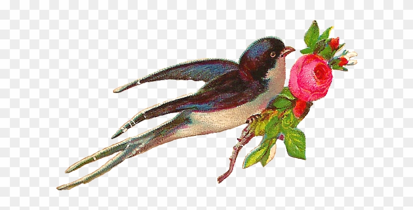 Victorian Roses And Blue Birds Clipart - Beautiful Rose And Bird #358270