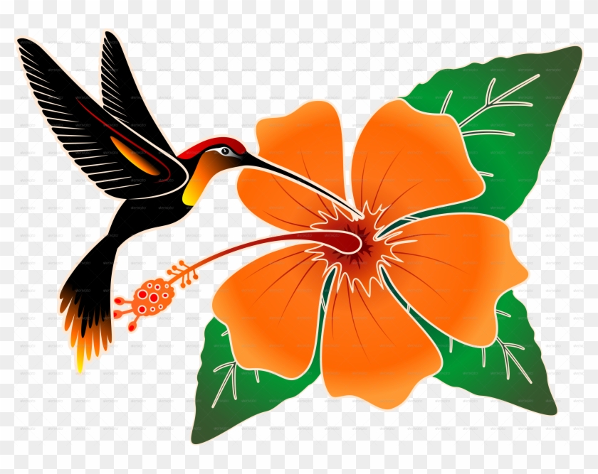 Pin Orange Hibiscus Clipart - Hummingbird And Hibiscus Throw Blanket #358321