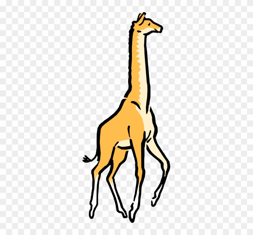 Vector Illustration Of Cartoon African Giraffe - Vector Illustration Of Cartoon African Giraffe #358563