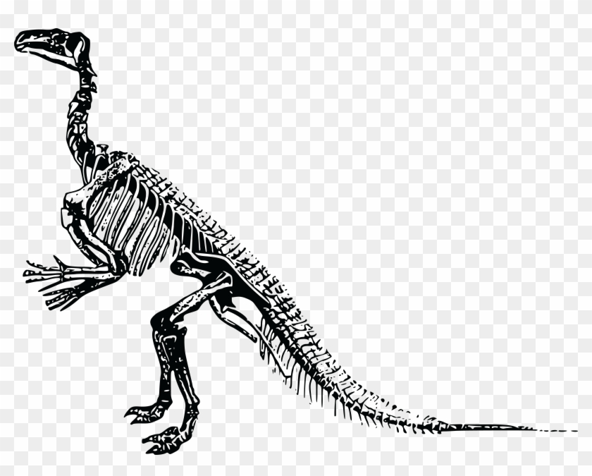 Free Clipart Of A Dinosaur Skeleton - Clipart Dinosaur Skeleton #358569