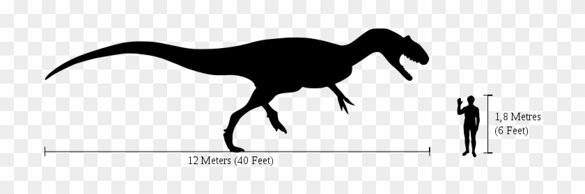 New Data For Old Bones - Allosaurus Size Comparison #358572