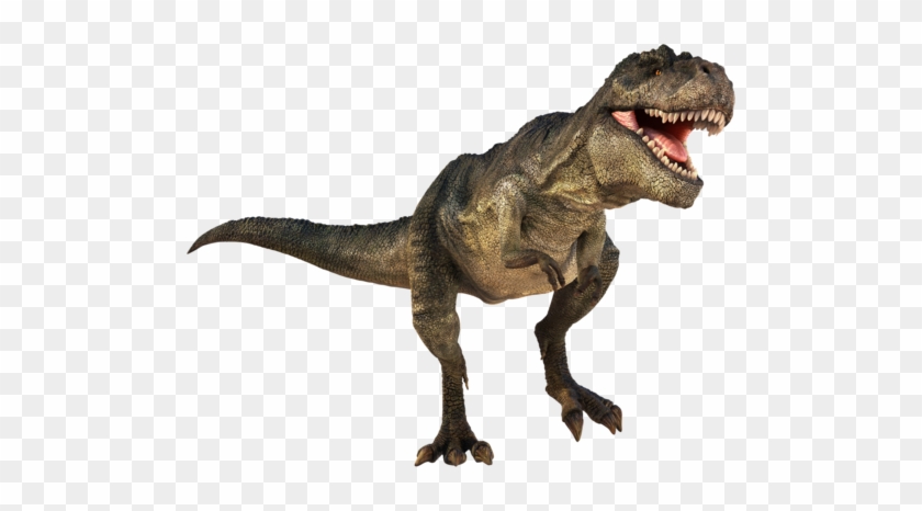 T-rex Dinosaurs History - Dinosaur T Rex Png #358577