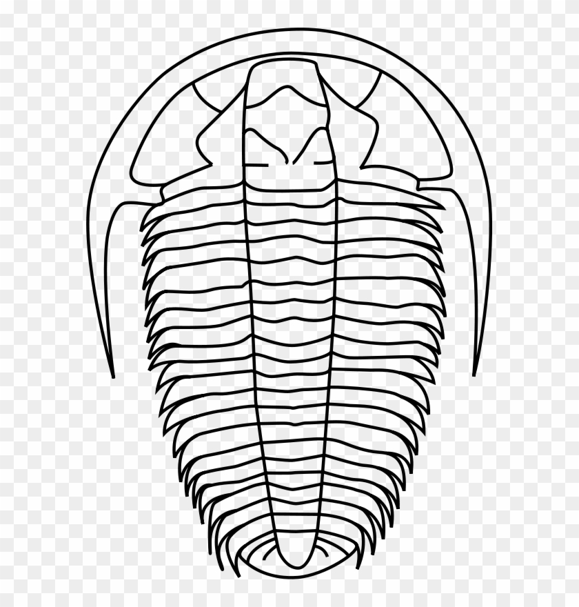 Fossil 20clipart - Trilobite Clipart #358582