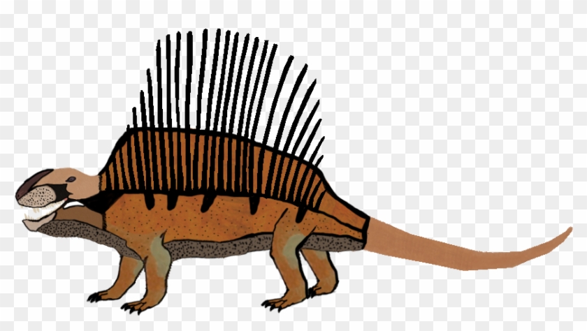 Art And Copyright Belongs To Conor Daly D - New Dimetrodon #358627
