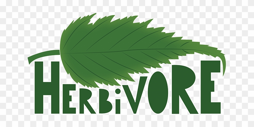 Image Of Herbivores - Herbivore Text #358671