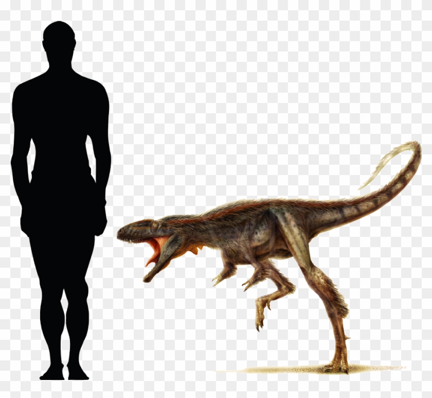 Prehistoric - Hyena Size Comparison To Dog #358728