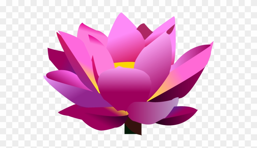 Lotus Flower Graphic - Lotus Flower Graphic Png #358878