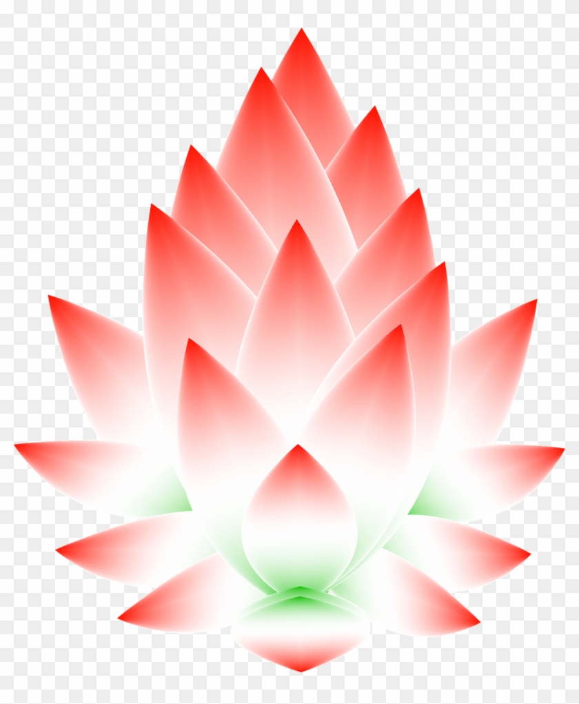 Lotus Flower Blossom Abstract Png Image - Sacred Lotus #358951
