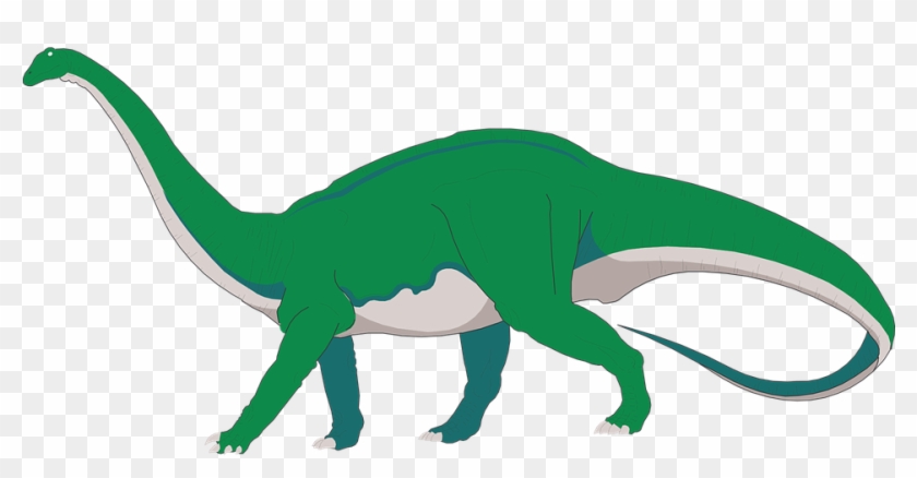 Dinosaur Long Neck Walking Tail Ancient Pr - Diplodocus Clipart #359005