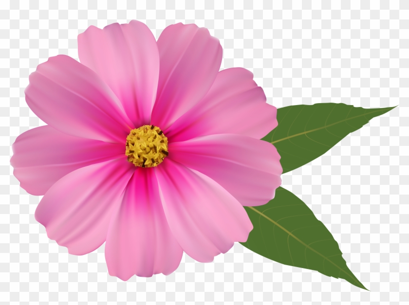 Pink Flower Png Image Clipart - Hd Background Flowers Png #359072