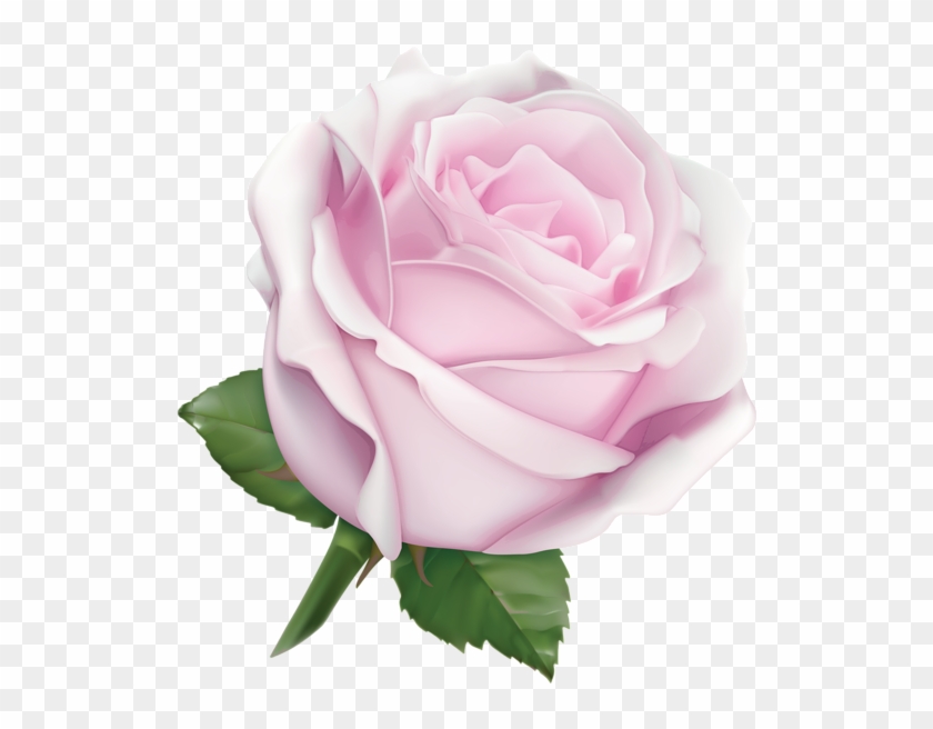 Pink Rose Clipart Large - Rose Gold Ribbon Png #359076