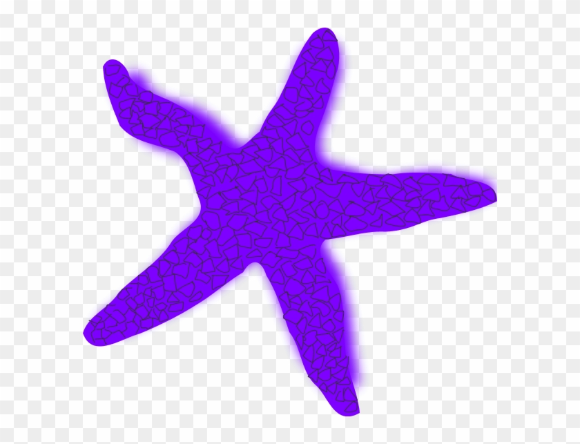 Starfish Orange Vector Clip Art Image - Starfish Clip Art #359269