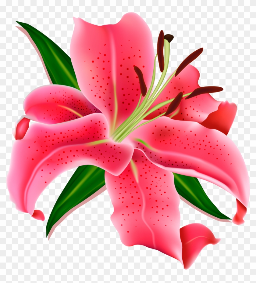 Vector Graphics #359368