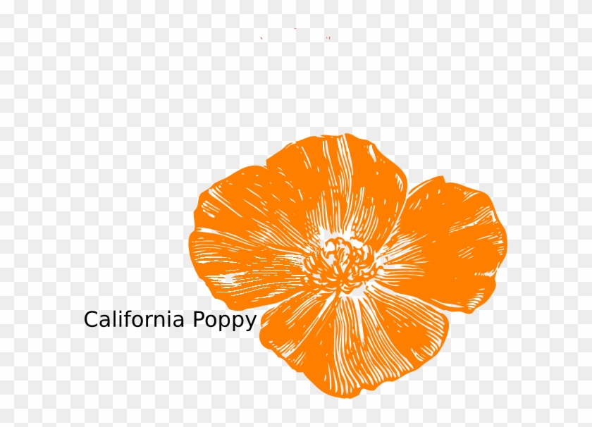 Peach Poppies Clip Art At Clker - Clip Art #359606