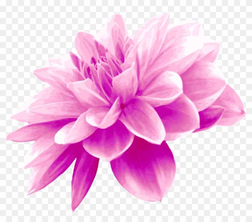 Pink Flower - Pink Colour Flower Png #359753