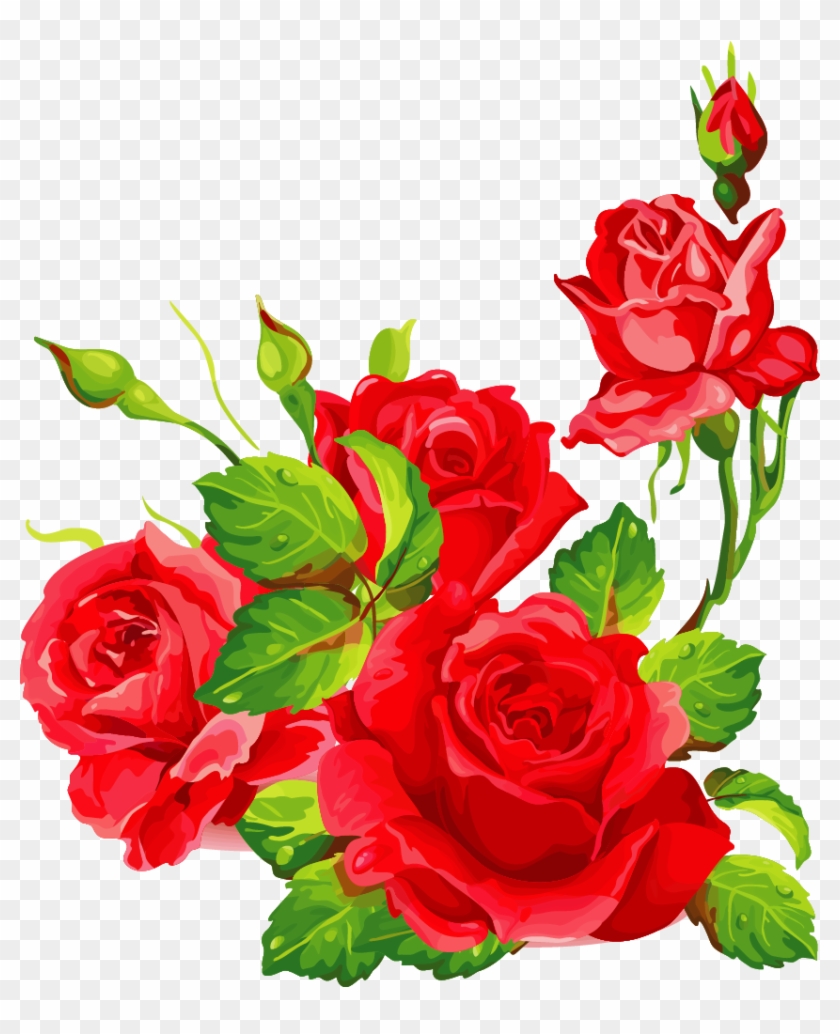 Png Клипарт "beautiful Flowers" - Garden Roses #359780