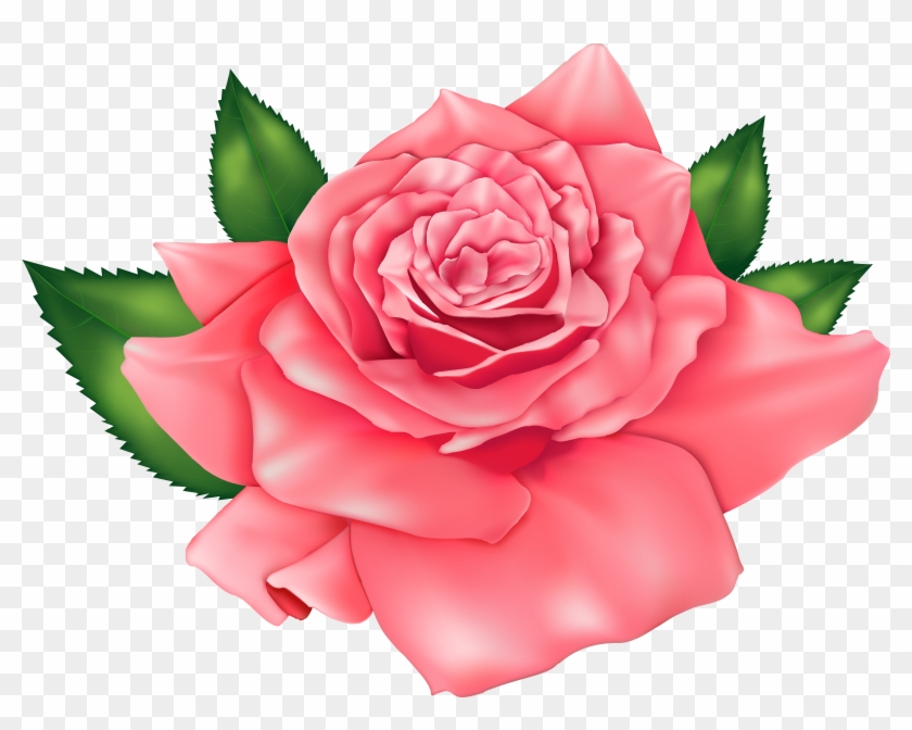 Beautiful Clipart Rose Plant - Beautiful Clipart Rose Plant #359798