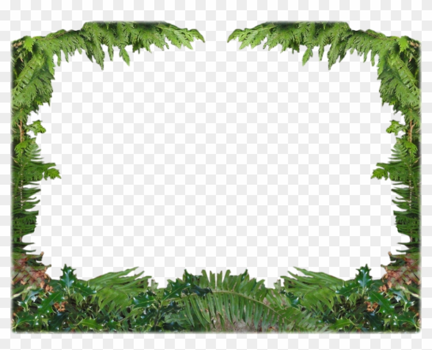 Forest Frame Cliparts - Forest Frame Png #359960