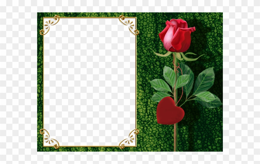 Transparent Green Png Photo Frame With Rose And Heart - Beautiful Frames For Photo Editing Online #360061