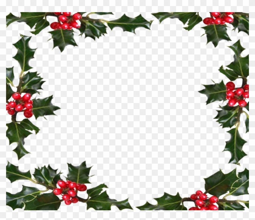 Free Christmas Holly Transparent Background - Holiday Border