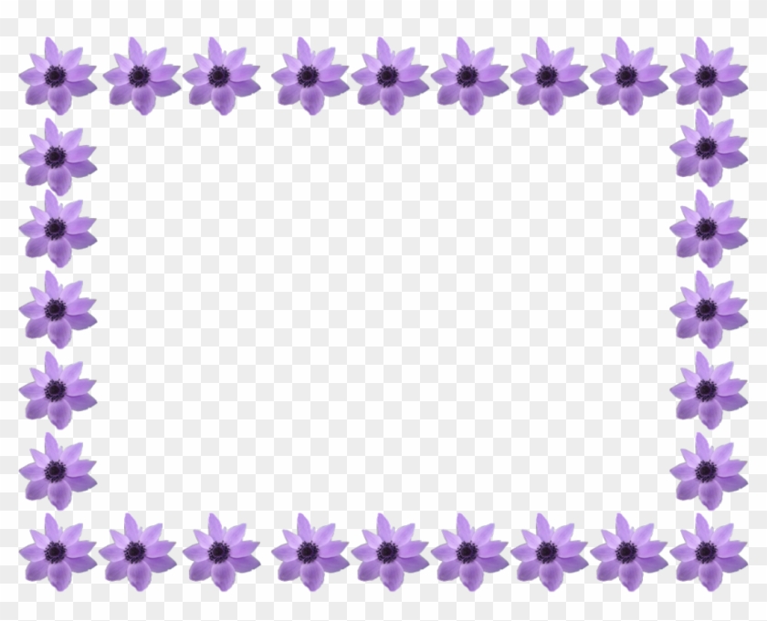 Flowers Border - Summer Flowers Border Transparent #360084