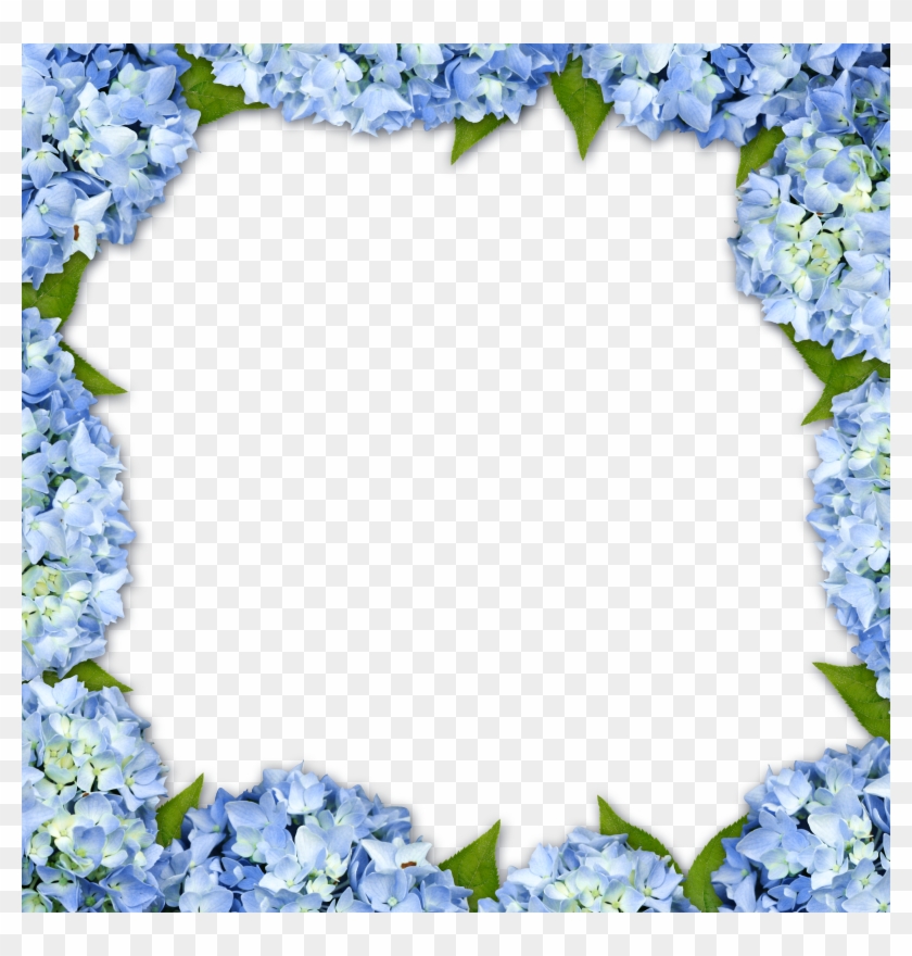 Hydrangea Picture Frame Flower - Blue Hydrangea Flower Border #360117