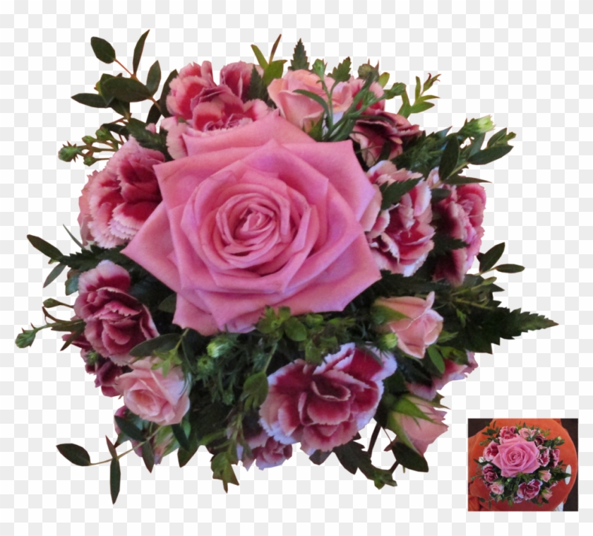 Garden Roses #360164