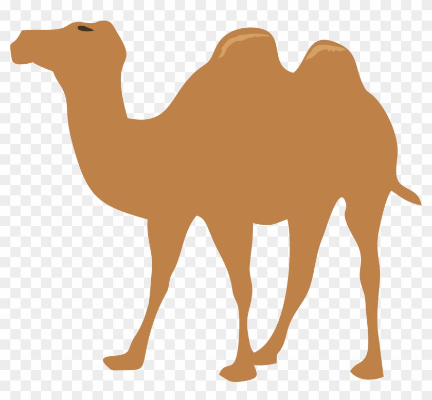 Camel Scalable Vector Graphics Clip Art Walking Camel - Camel Scalable Vector Graphics Clip Art Walking Camel #360416