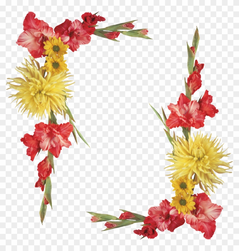 Flower Biology Ornament Vignette Photography - Gladiolus Border #360436